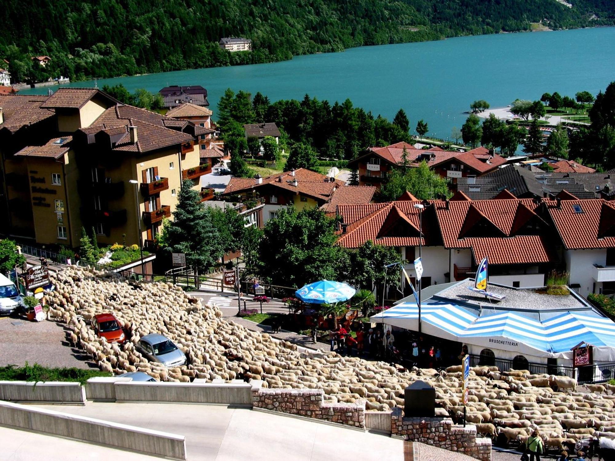 Albergo Stella Alpina Молвена Екстериор снимка
